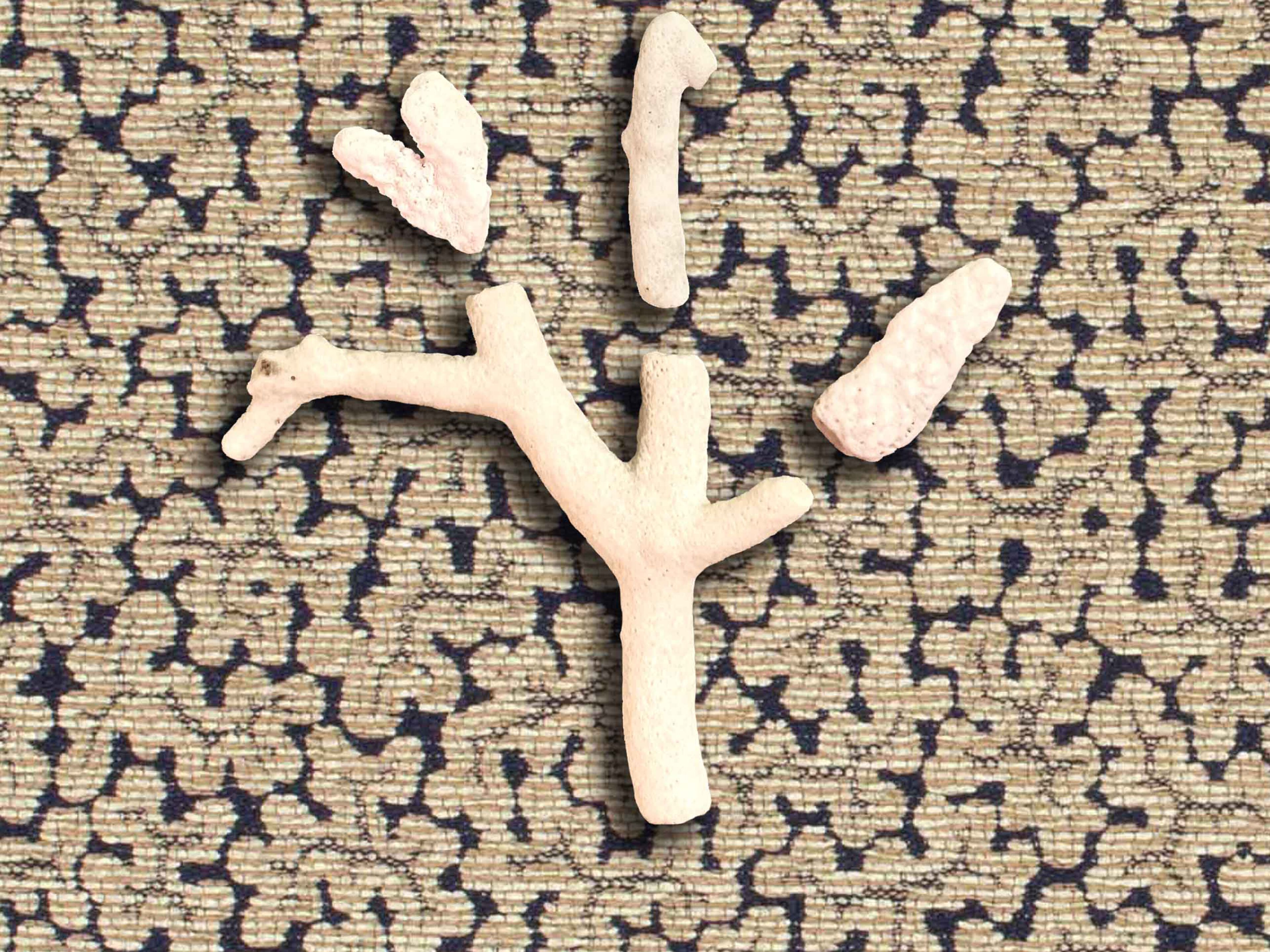 Хлопчатобумажная и вискозная ткань LELIEVRE Métamorphose ARCH-00039473 - Вид №13