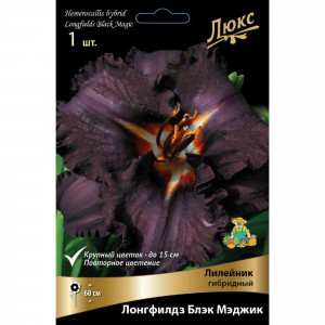 83597605 Лилейник гибридный Лонгфилдз Блэк Мэджик луковица I