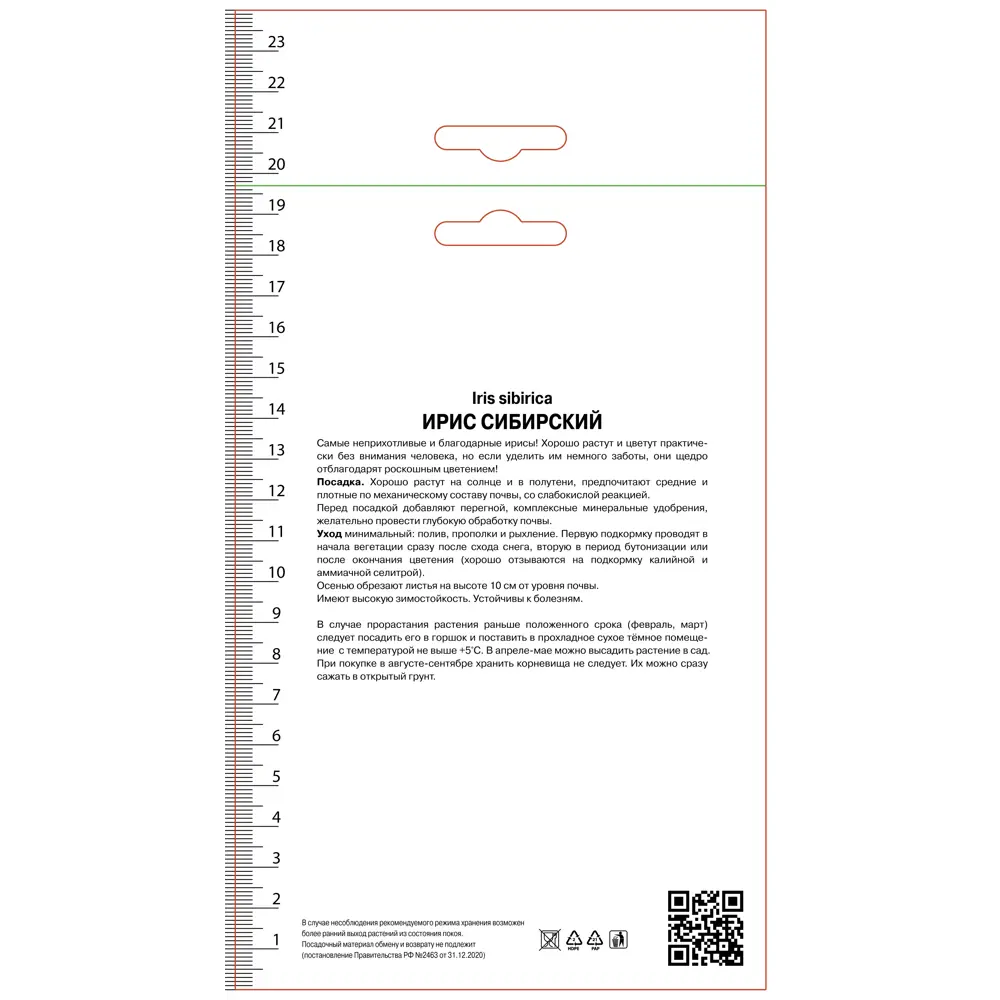 Ирис сибирский Лайт Ов Харт ПОИСК STLM-2049543 - Вид №1
