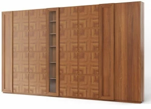 DWFI Гардероб из фанерованной древесины  00002328