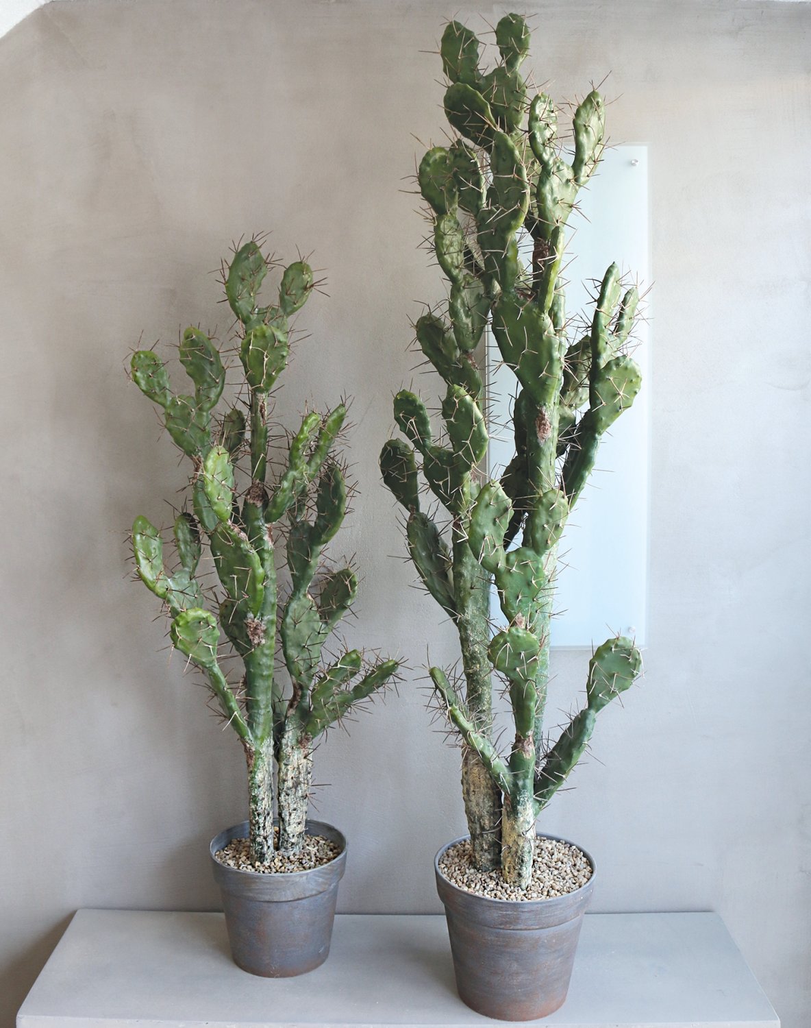 6107 883 a3 Искусственный кактус опунция, горшечная, 130 см, зеленая H-andreas  - Вид №3