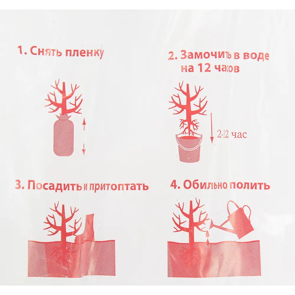 Вишня Тургеневка Поиск Инвест 82528971 STLM-2194001 Santreyd  - Вид №2