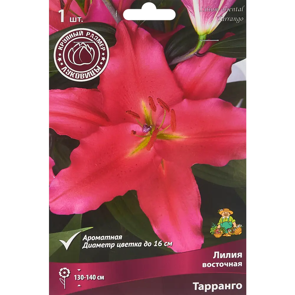 Лилия восточная Тарранго 1 шт. 83588543 STLM-2145946 Santreyd 