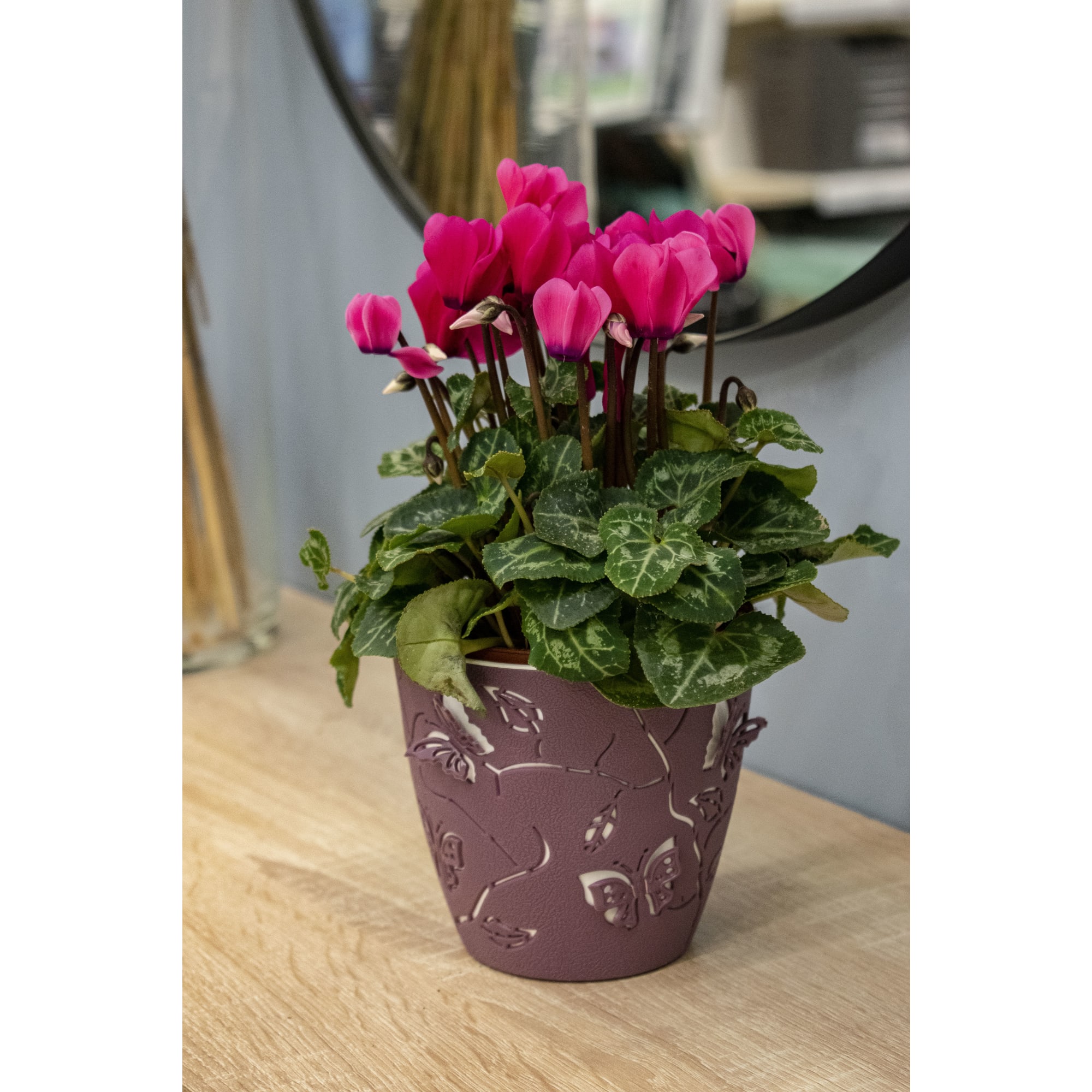 88309669 Горшок цветочный ø11.5 h10.5 см v5 л пластик пепельно-розовый Boho Santreyd  - Вид №2