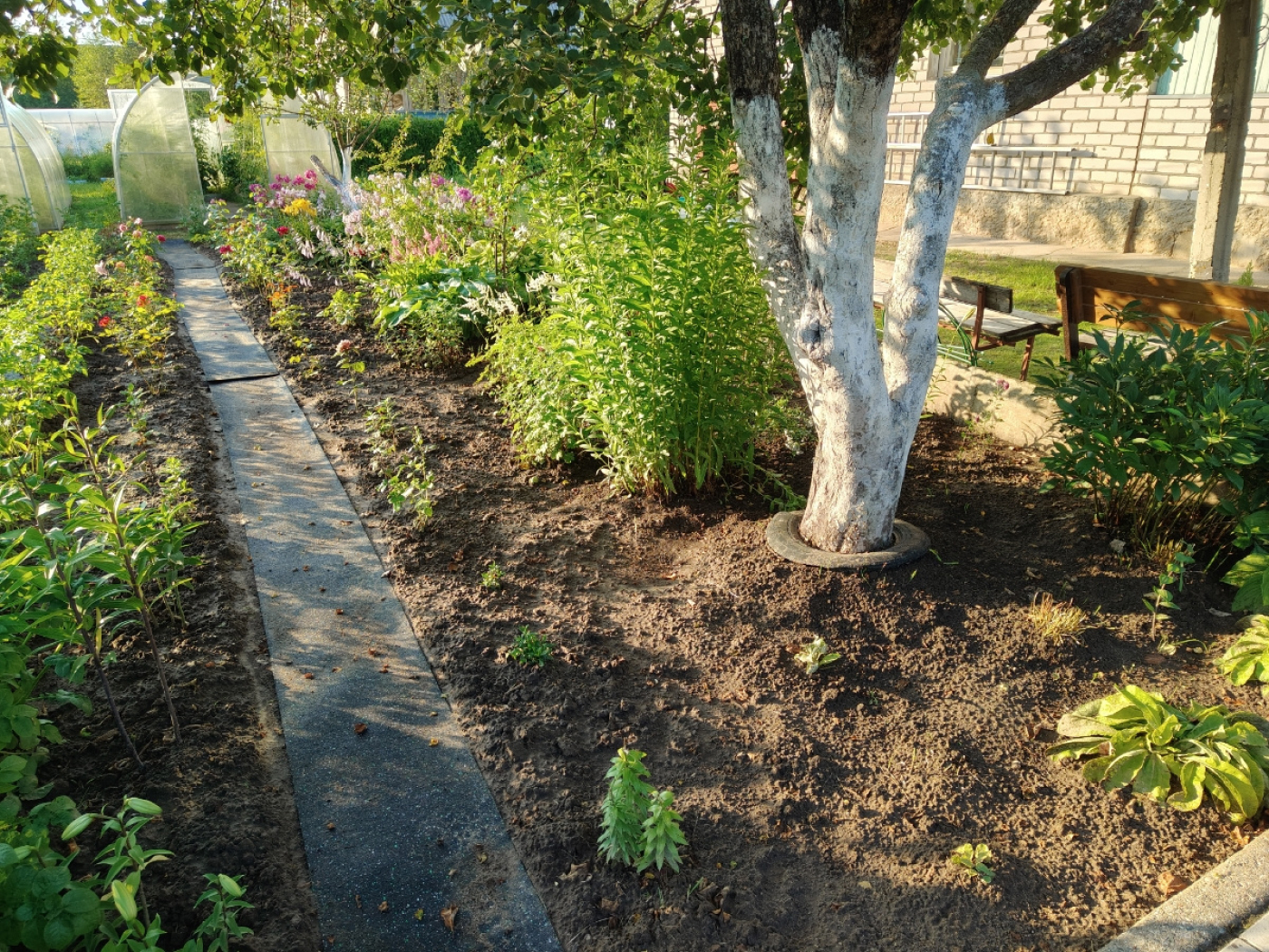 20.3.3AG.Bc Садовая дорожка резиновая Alegria garden  - Вид №1