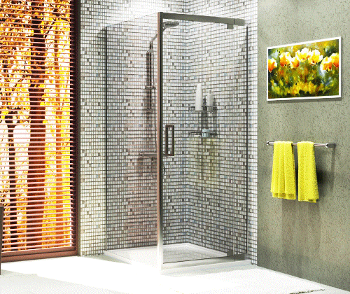 Berkel 48P27 Душевая дверь Santreyd  - Вид №1