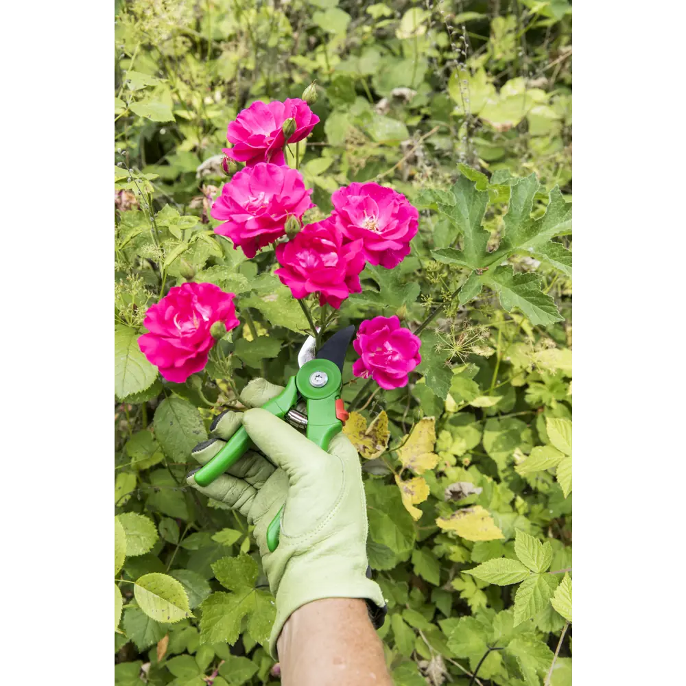 Секатор Geolia для точной обрезки ветвей 81966048 STLM-0015857 - Вид №8