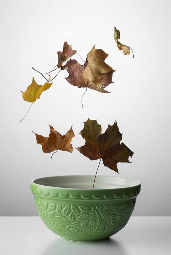 2001.333 Миска для смешивания in the forest, D21 см, 1,2 л, зеленая Mason Cash  - Вид №3