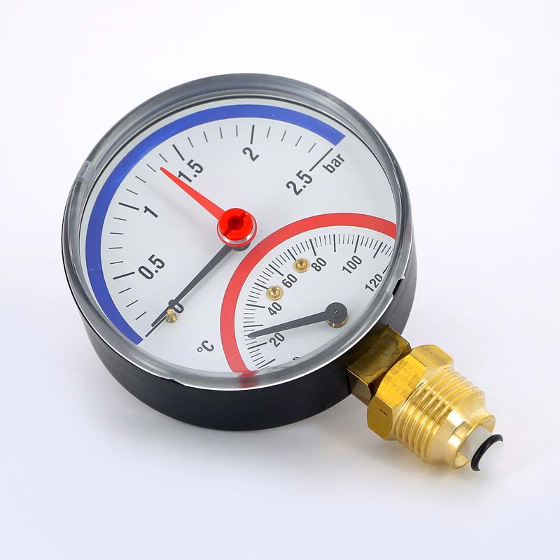 Термоманометр радиальный F+R828 WATTS Ind 2,5 бар 120 град.C 10009472 - Вид №1