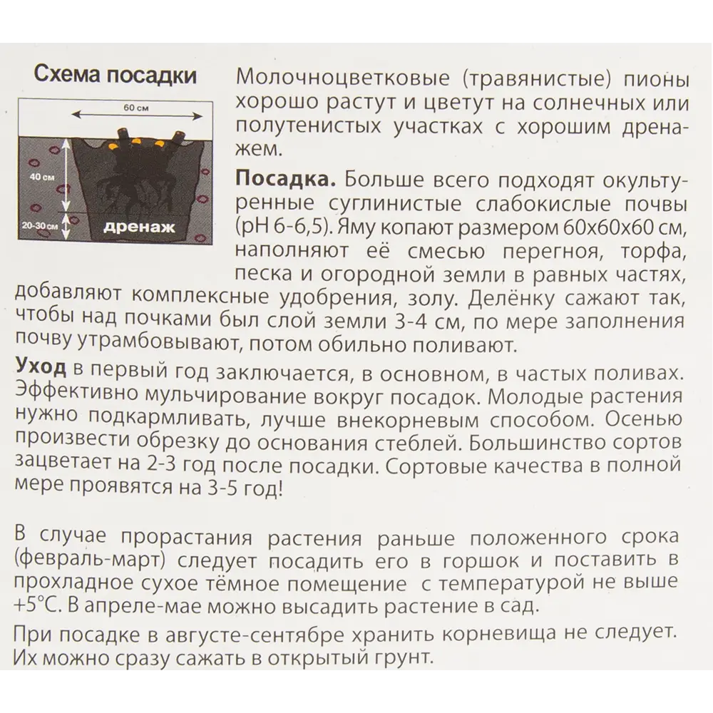Пион молочноцветковый травянистый Эдулис Суперба 85205653 STLM-2121007 ПОИСК  - Вид №2