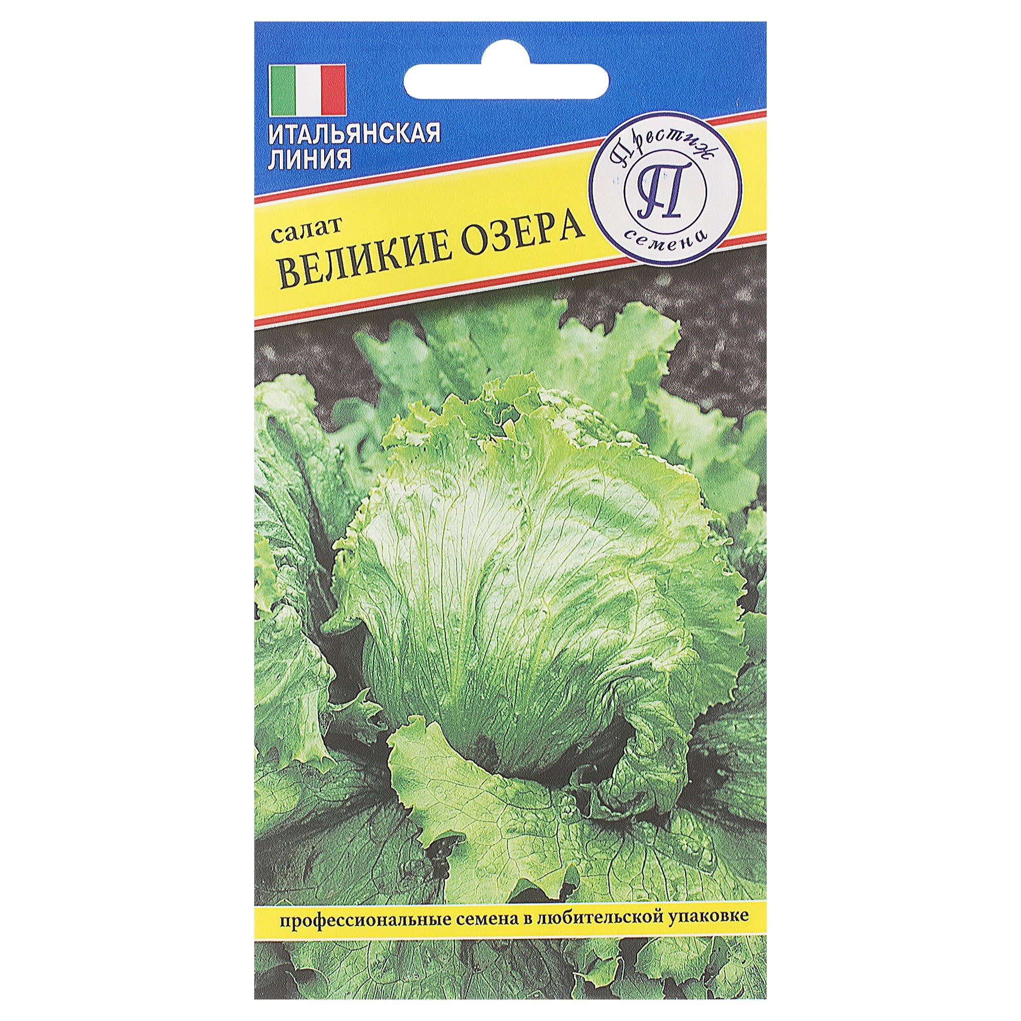 81931650 Семена Салат «Великие Озёра» Santreyd 