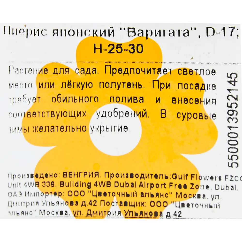 Пиерис японский «Варигата» 17x25 см 82601611 STLM-2182123 Santreyd  - Вид №1