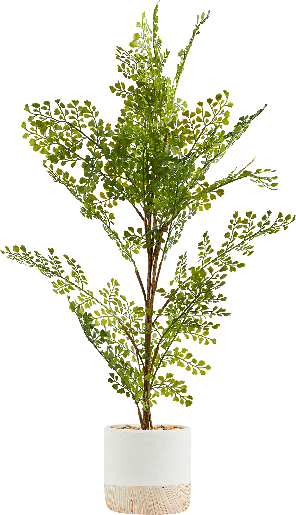 87681876 Искусственное растение Фикус 71x14 см пластик STLM-0074886 Santreyd