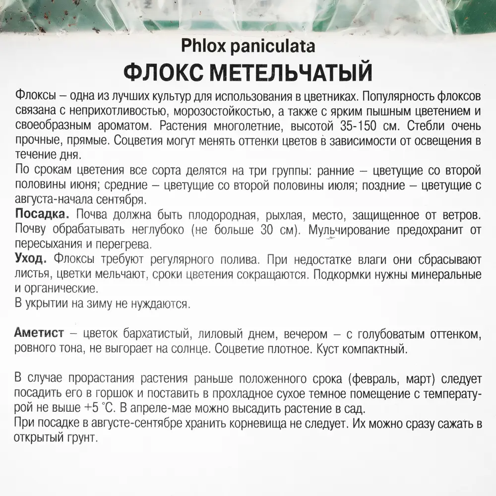 Флокс метельчатый «Аметист», 1 шт. 82118748 STLM-2144332 Santreyd  - Вид №1