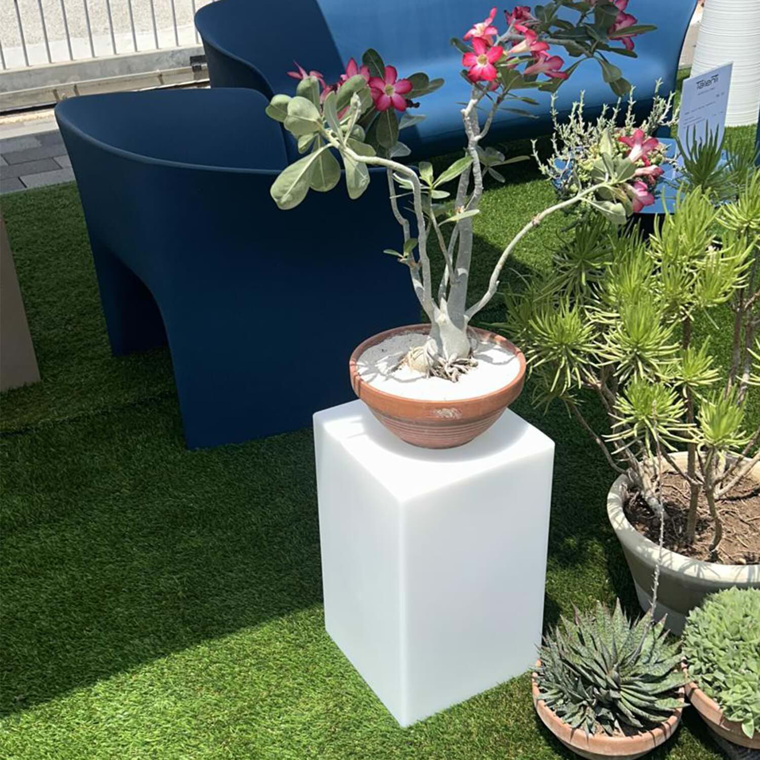 Полиэтилен яркий низкий садовый стул SINED PAR ARCH-00042408 - Вид №3