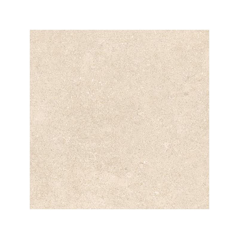 K94645700001VTE0  Vitraglobal Newcon 