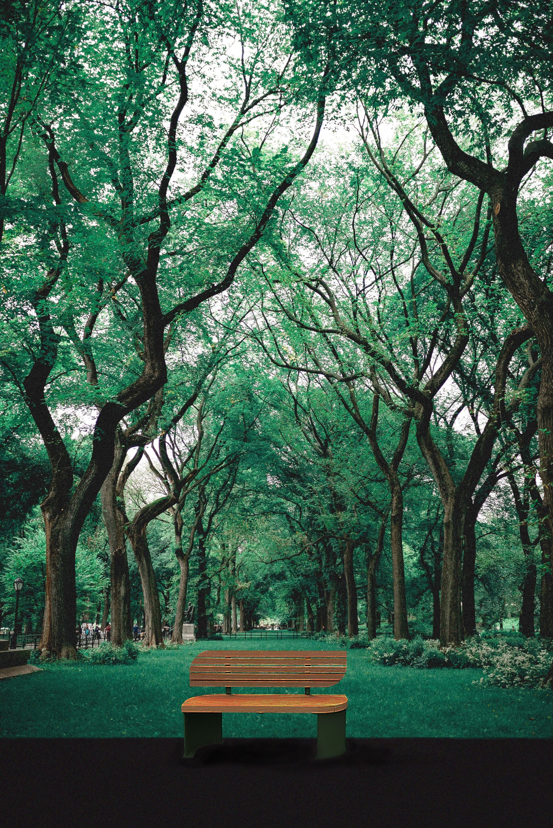 Деревянная скамья со спинкой Urbencéa STOL ARCH-00090942 - Вид №1