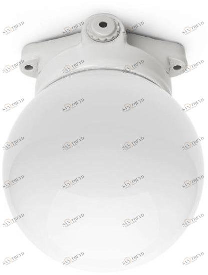 THPG Потолочный светильник из опалового стекла  100796 