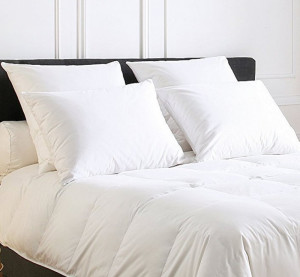 MAN_50 Подушка 50/70 начинка полиэстер силиконовые хлопья Blanc des Vosges