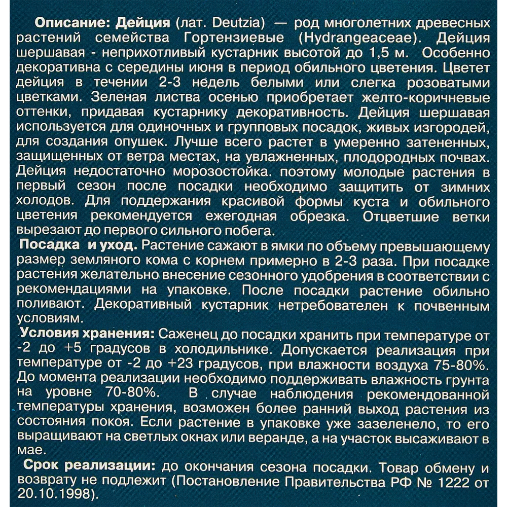 Дейция Кандидиссима ø12 h29 см 86542765 STLM-2194560 Santreyd  - Вид №2