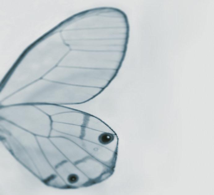 Wall&decò Обои на стену Contemporary wallpaper 2013 sun-id-1347667 - Вид №3