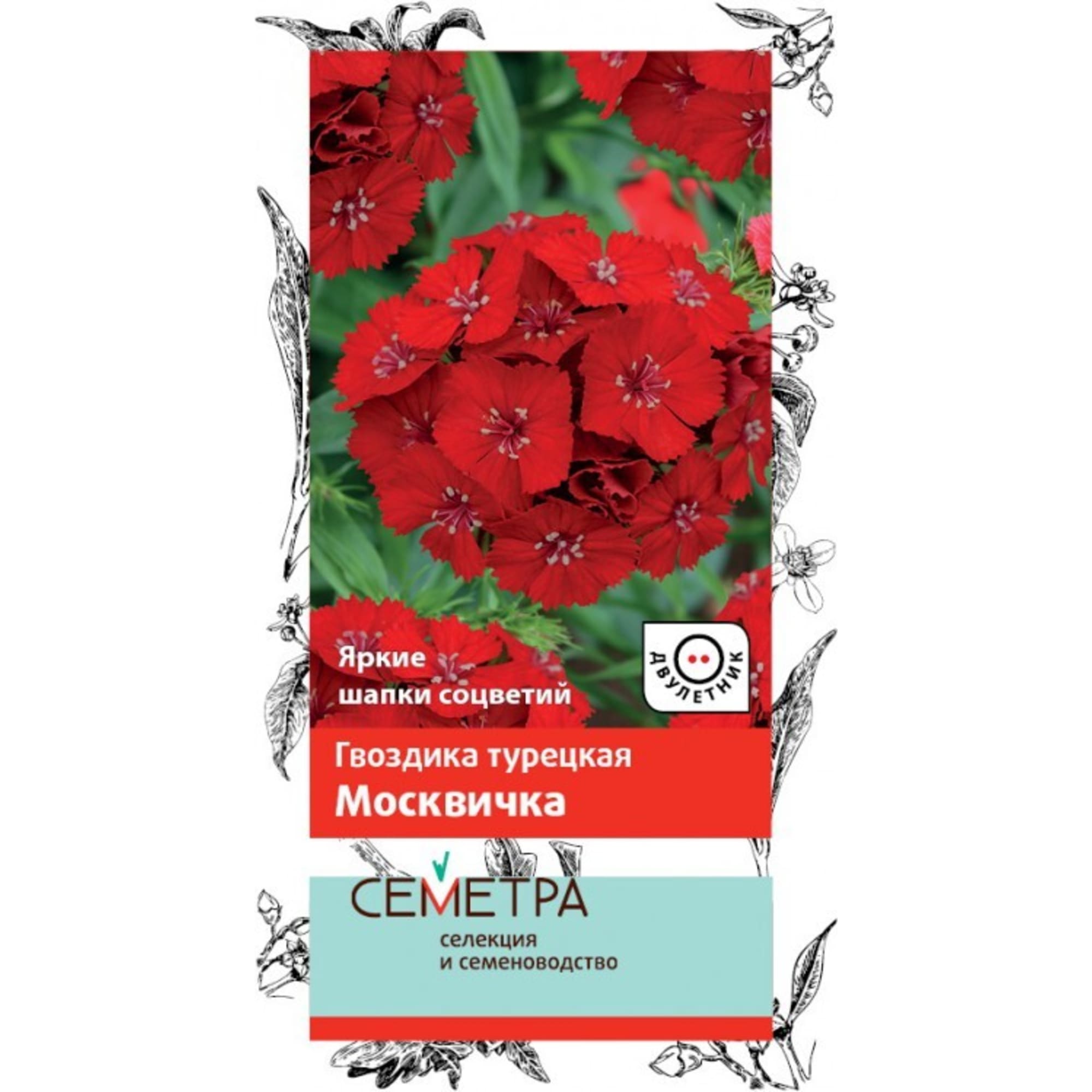 83147200 Семена Гвоздика Турецкая «Москвичка» Santreyd 
