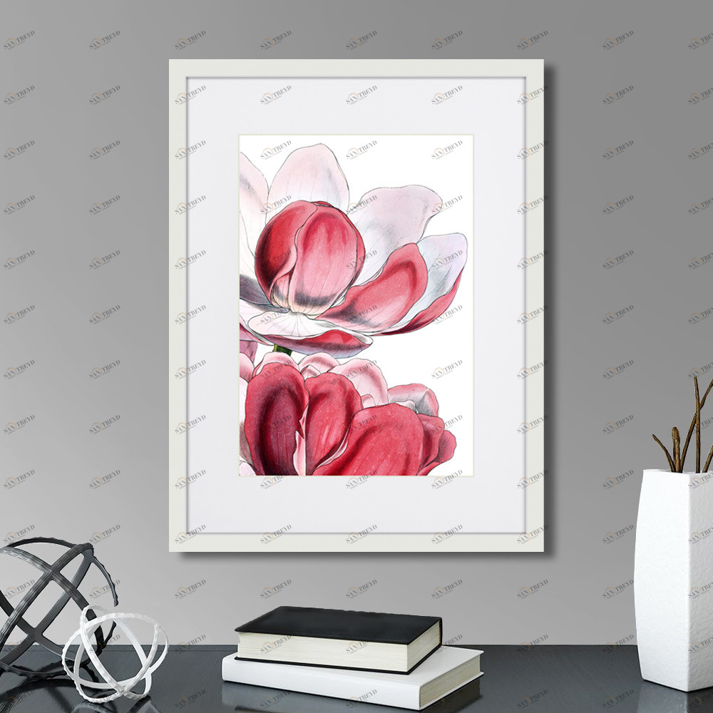 Картина в раме 42х32 см Himalaya Plants Pink-Flower on white III, 1869г. КАРТИНЫ В КВАРТИРУ  264653 Белый;розовый;разноцветный 