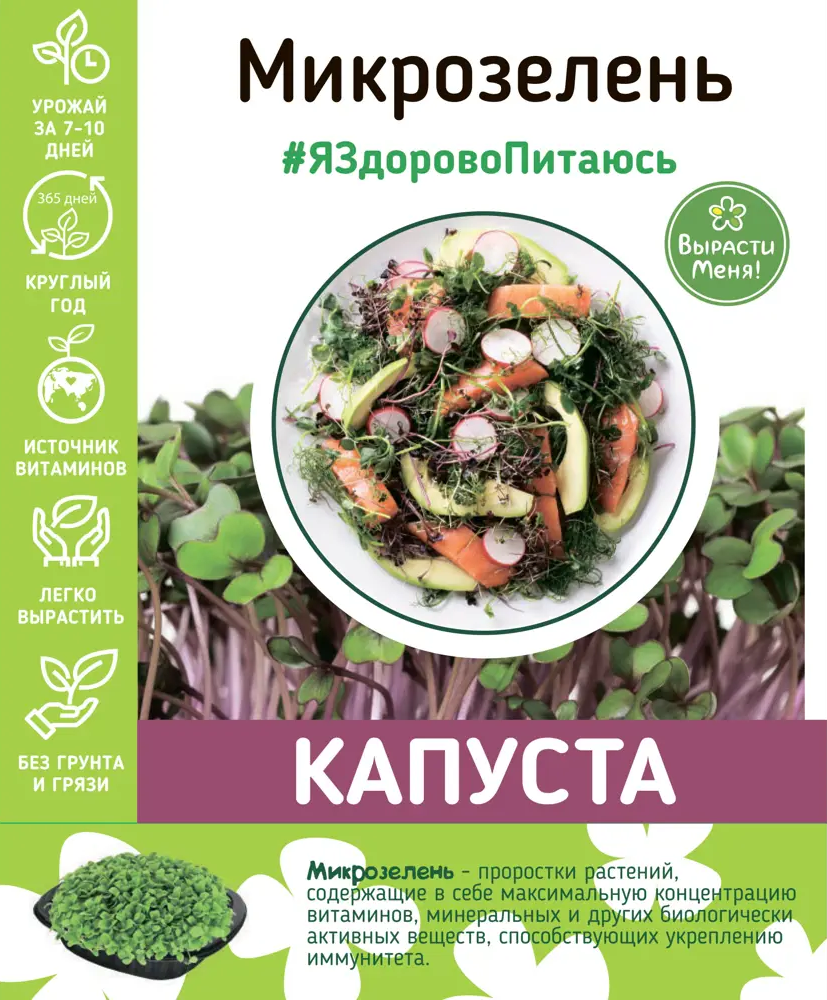 AGRONI Набор для выращивания микрозелени китайской капусты 83562749