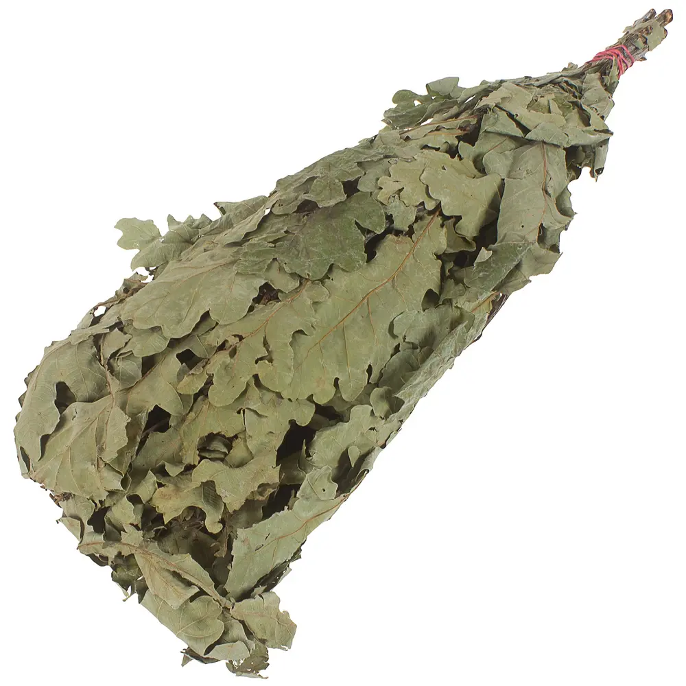 Веник дубовый Proffi Sauna цвет зеленый STLM-2101909