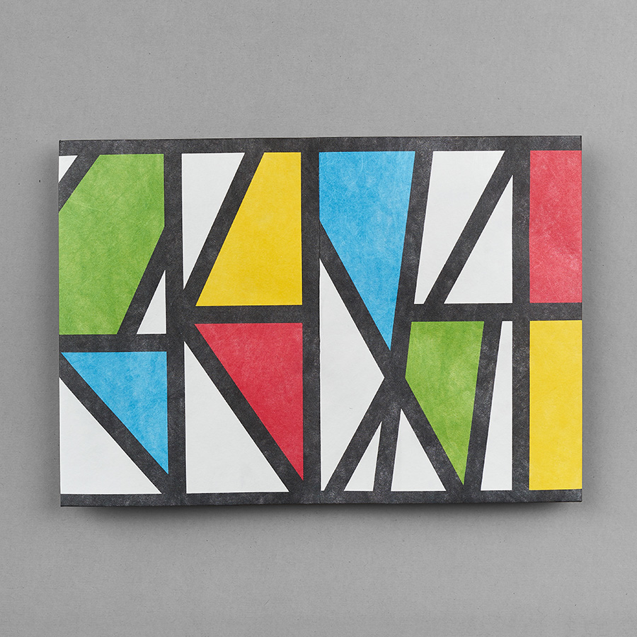 NC-123 Обложка на паспорт - new impression; сделан из tyvek® New wallet  - Вид №1