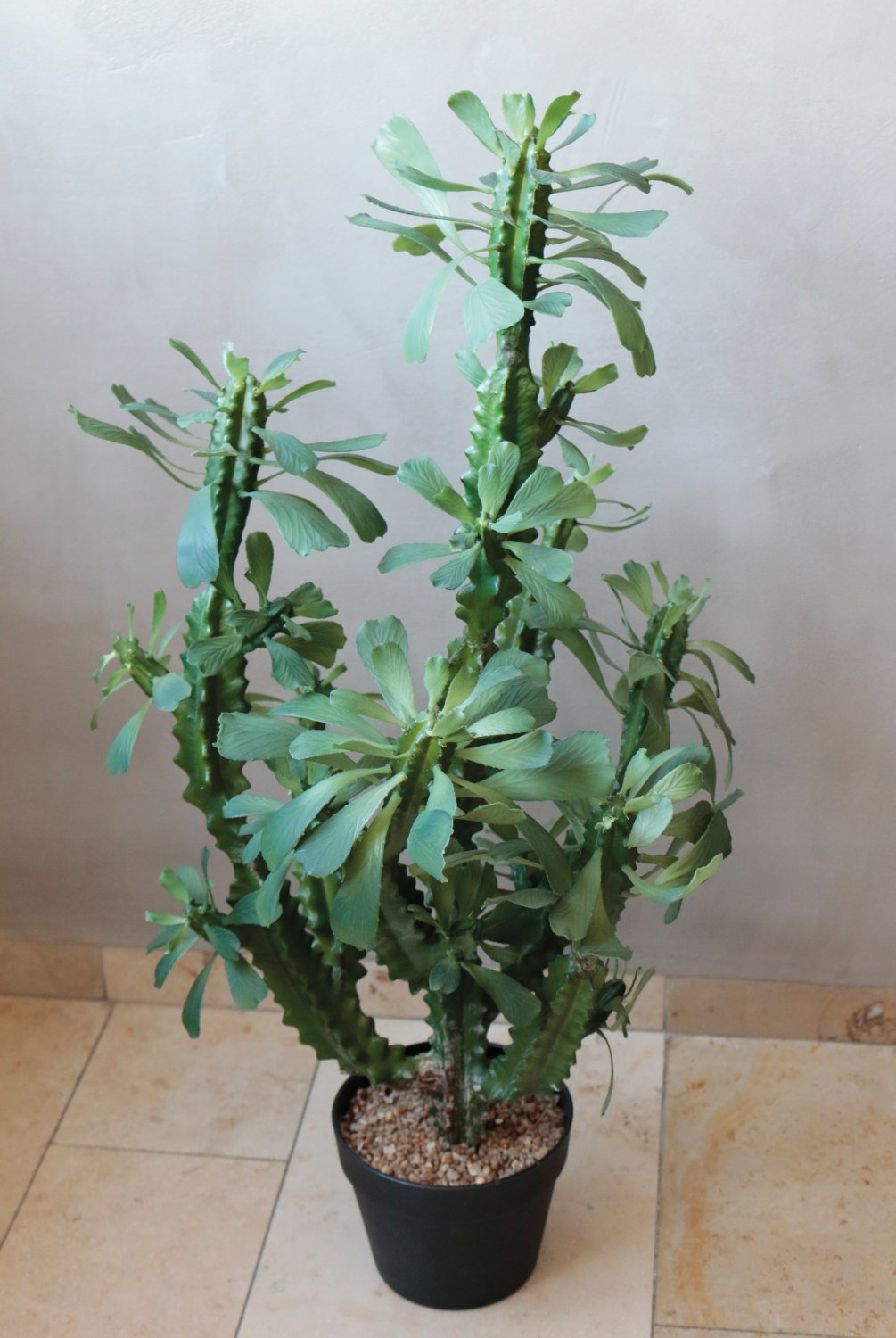 6148 883 a3 Молочай искусственный тригона, горшечный, 88 см, зеленый H-andreas  - Вид №3