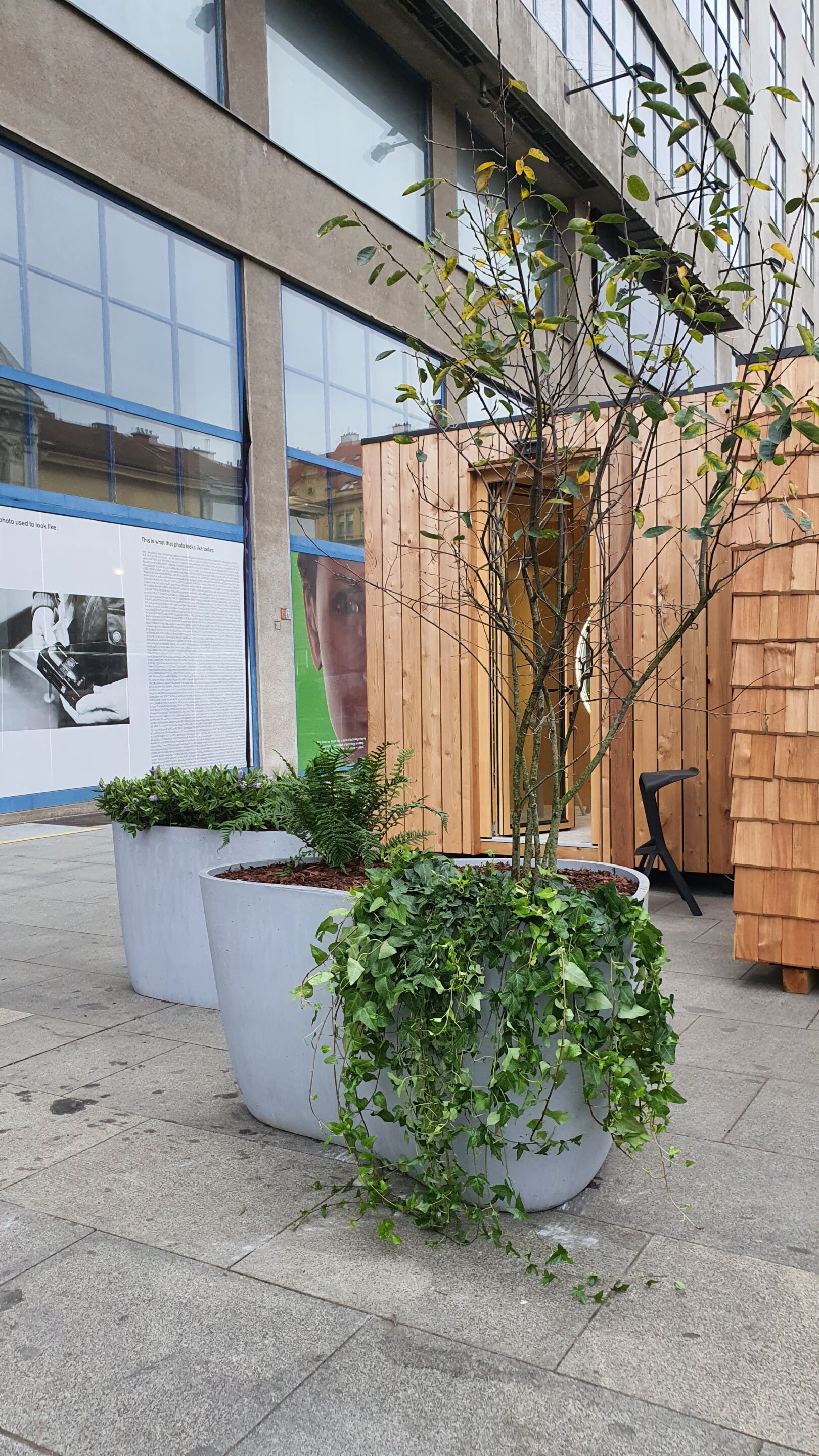 Бетонная ВАЗа ручной работы Betoni Organic ARCH-00047776 - Вид №6