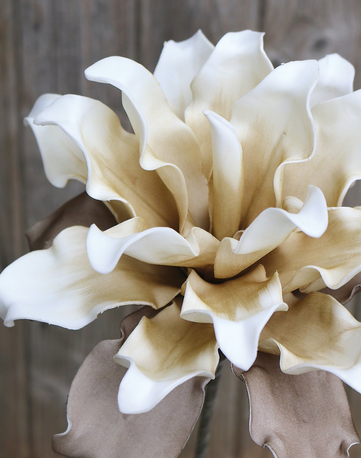 7898 776 a3 Искусственный протея мягкий цветок, 38 см, бежево-коричневый H-andreas  - Вид №1