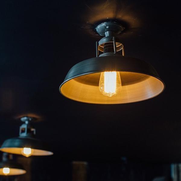 Industville Железный потолочный светильник  Bn-slfm12-p  - Вид №3