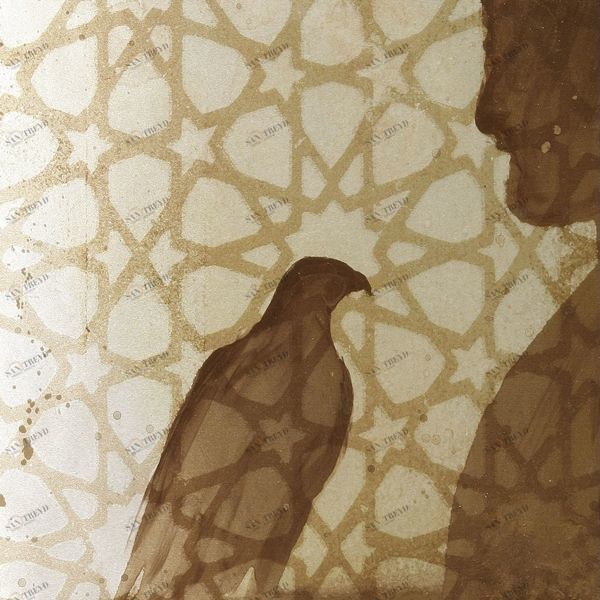 Арт-панель на холсте Alex Turco Middle East Glare My Falconry MYFALCONRY