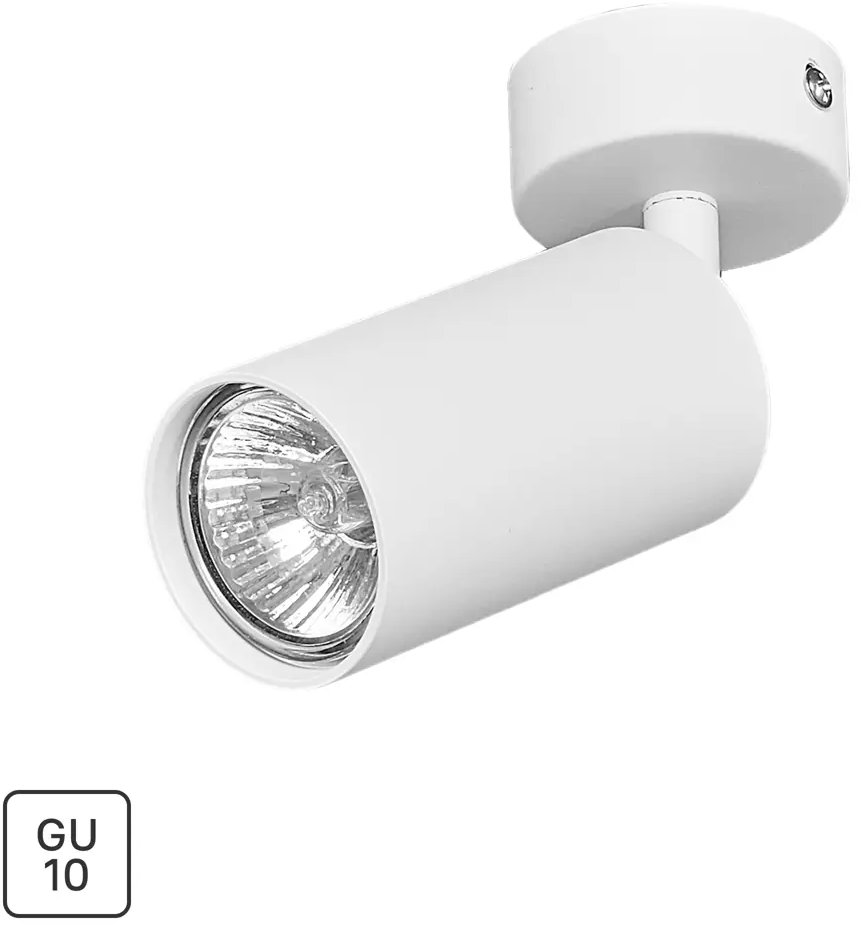 Arte Lamp Arius — поворотный спот для акцентного освещения 82138002