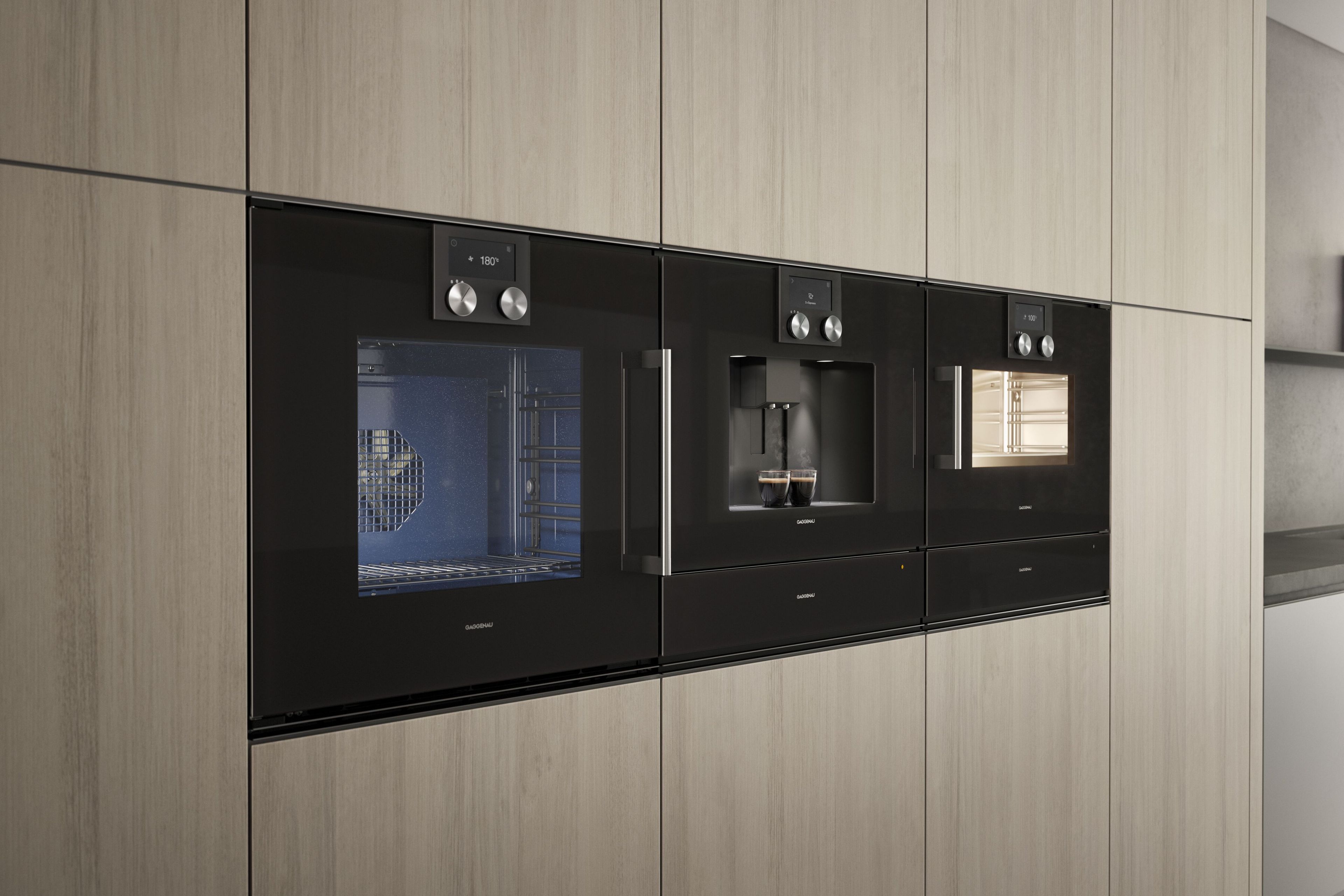Встраиваемая комбинированная печь класса А GAGGENAU серия 200 ARCH-00138786 - Вид №2
