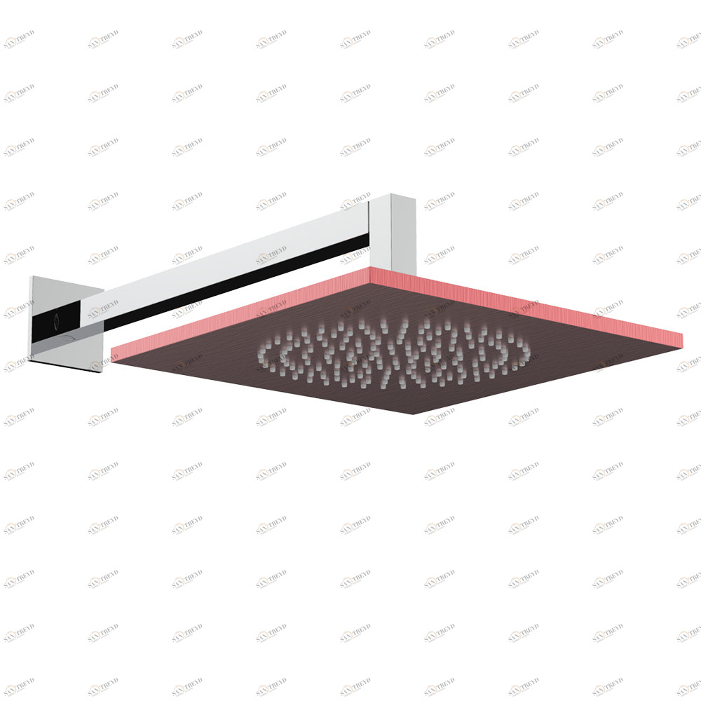 Graffio Квадратная лейка душа 240 × 240 мм с квадратным держателем 350 мм. TA842 