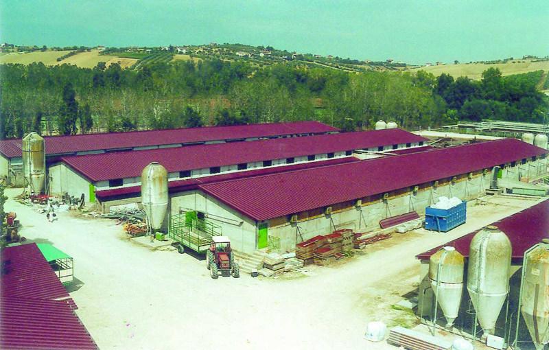 ELCOM SYSTEM Металлоизоляционная кровля с внутренней обшивкой Zootec sun-id-1432244 - Вид №6