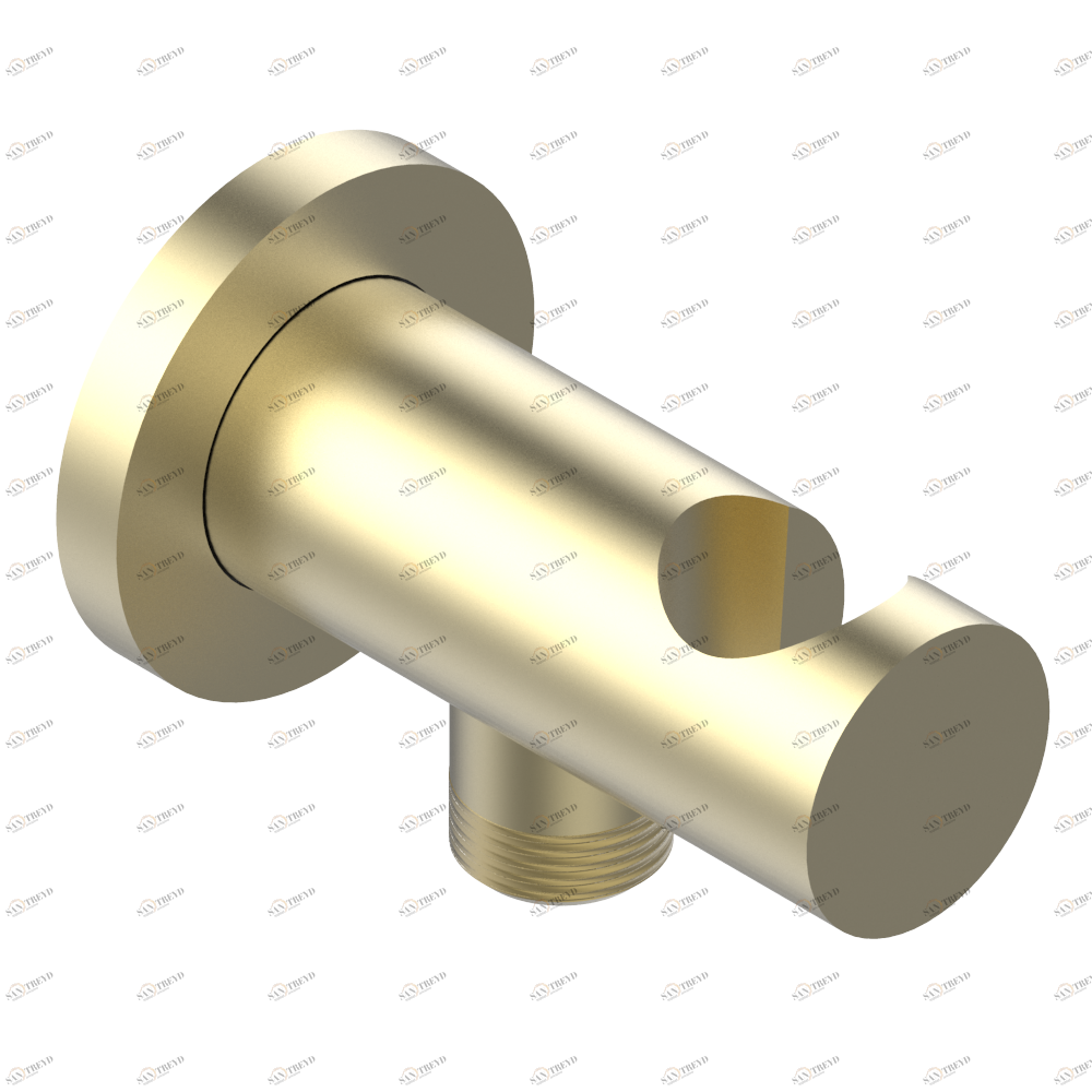 A42-53L Вывод встраиваемый в стену с крючком Thg-paris Pomme Матовое светлое золото A42-53L CAT.F