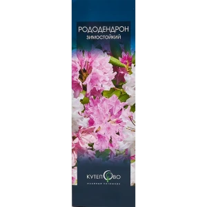Рододендрон «Смирнова» в коробке 82155623 STLM-2101875