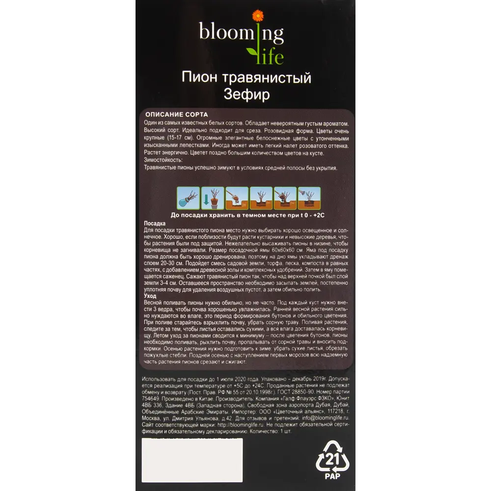 Пион травянистый Зефир в тубе 82539510 STLM-2100295 BLOOMING LIFE  - Вид №3