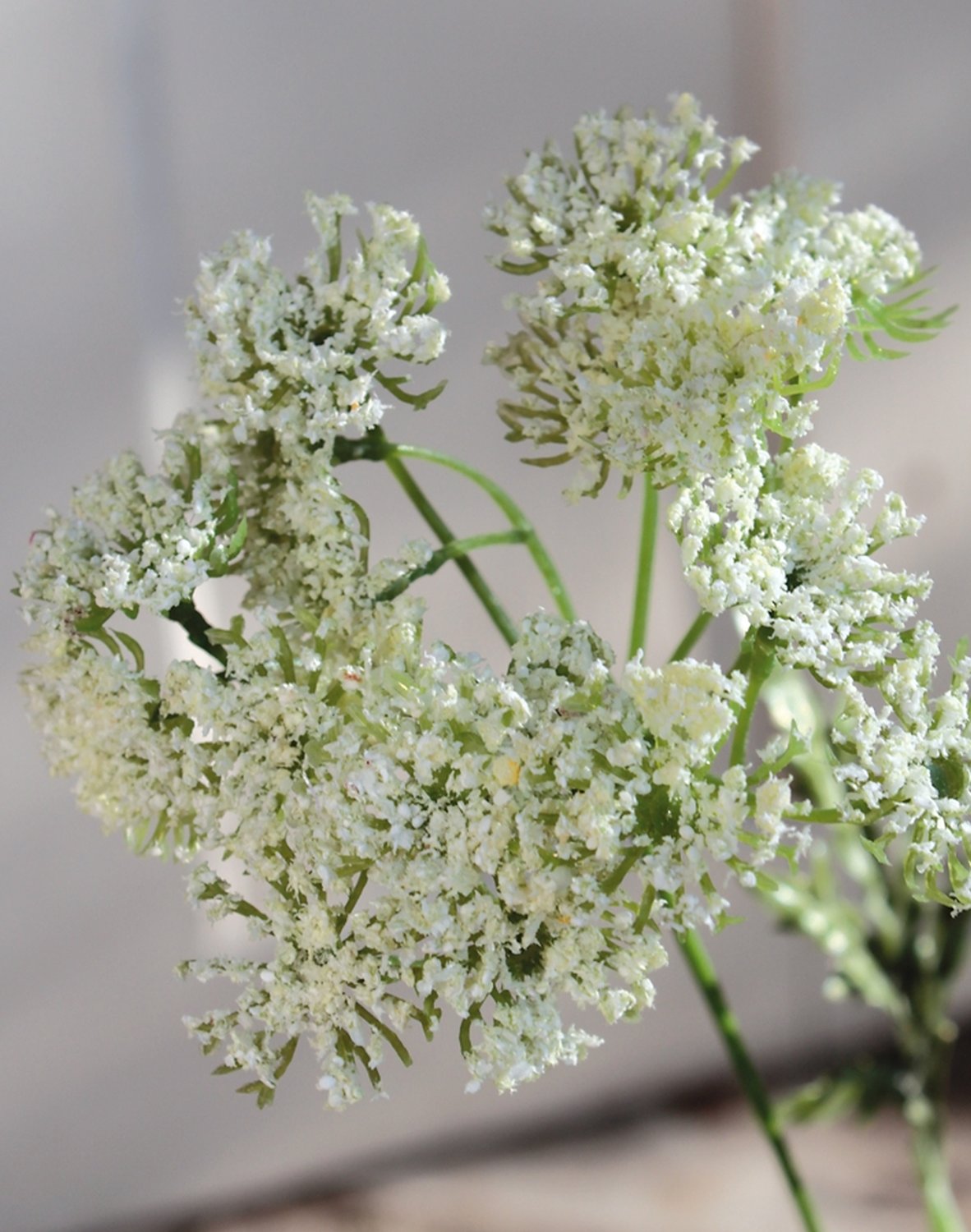 3535 777 a2 Шелковый тысячелистник, 3 цветка, 65 см, белый H-andreas 