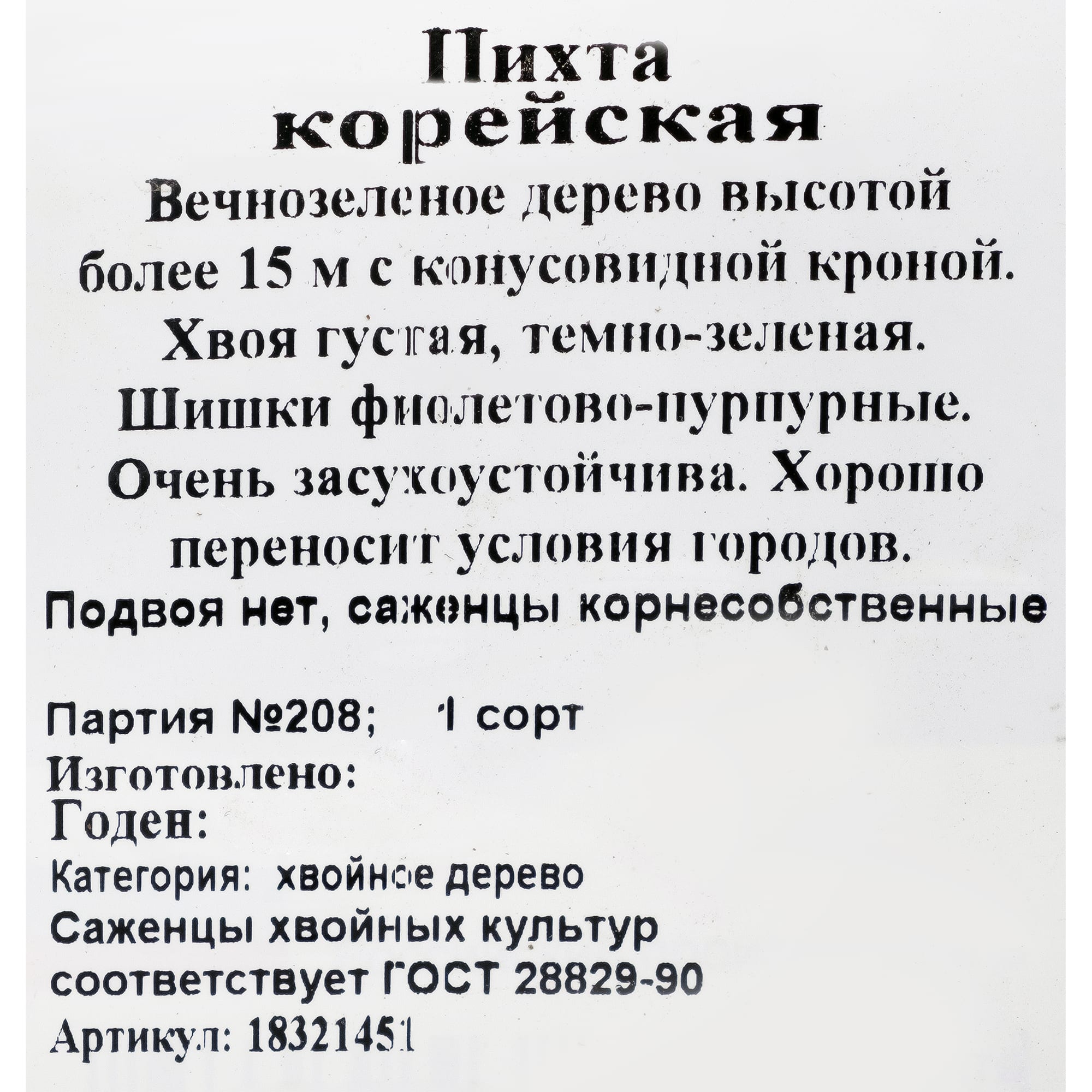 18321451 Пихта в коробке Santreyd  - Вид №1