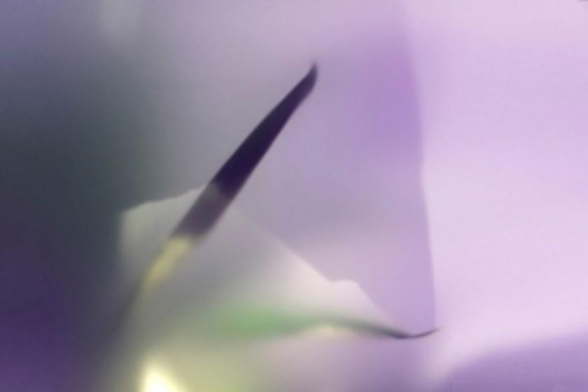 GLAMORA Обои на стену Collection x creative wallcoverings Glx12 - Вид №1