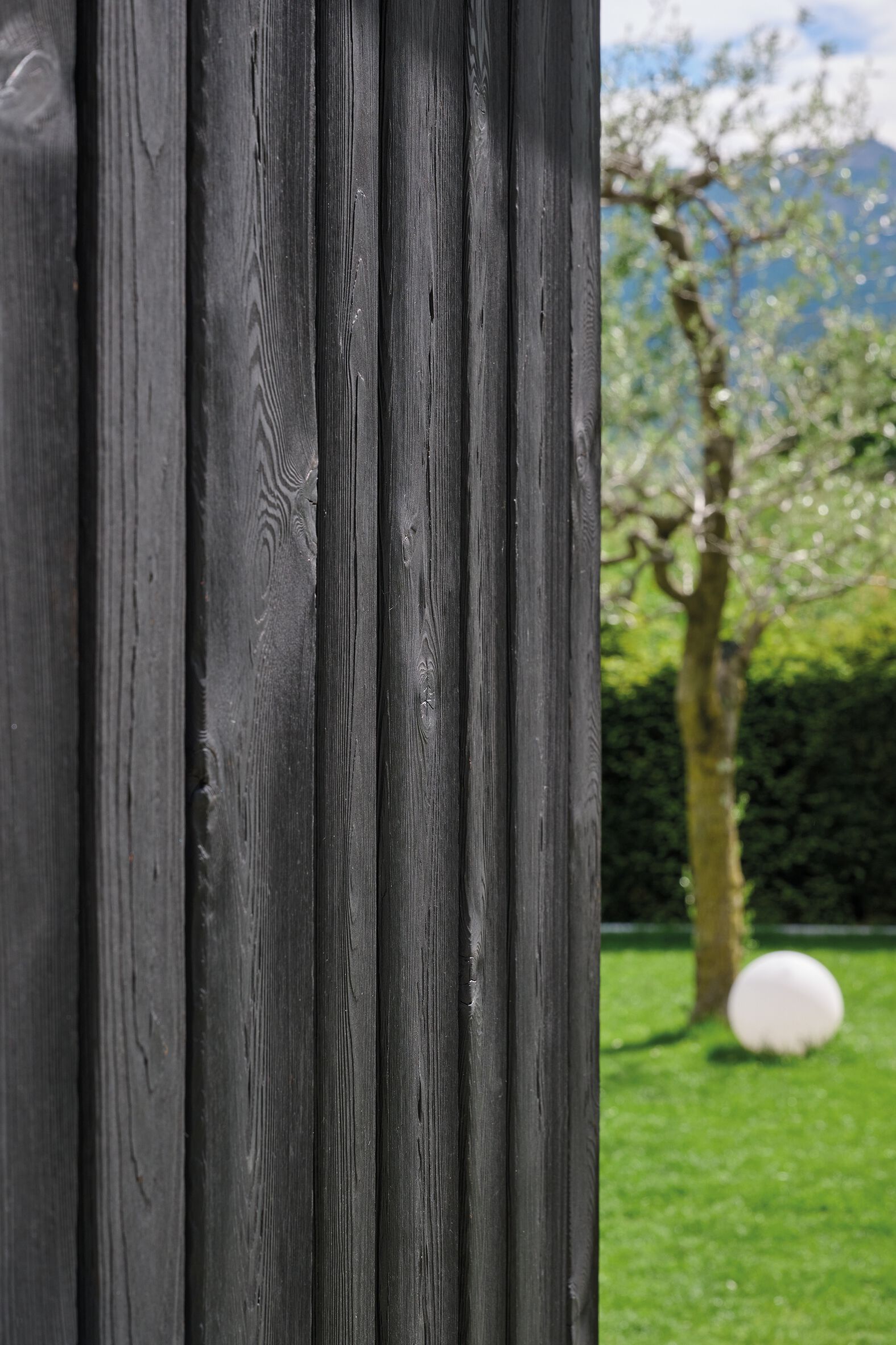 Облицовка / настил из лиственницы Sapiens ARDES ARCH-00002275 - Вид №1