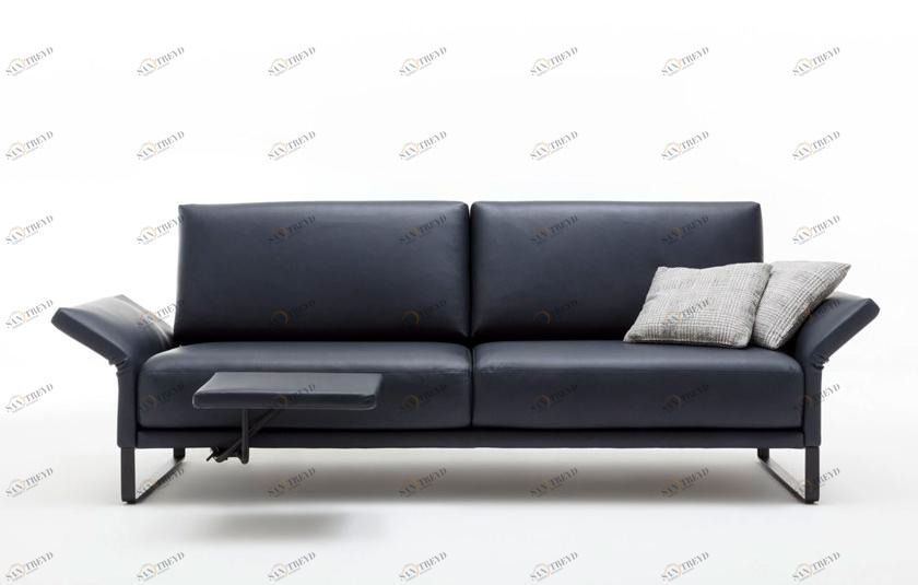 Rolf Benz 2-местный кожаный диван-основа для санок Rolf benz 009 cara sun-id-1345155