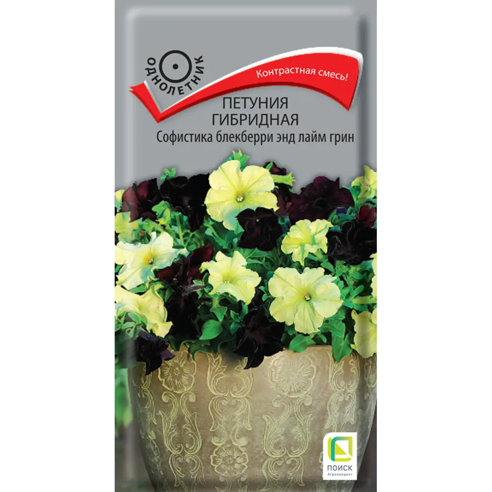 83577550 Петуния гибридная Софистика Блекберри 5 шт. STLM-0953450 STLM-0953450 ПОИСК 