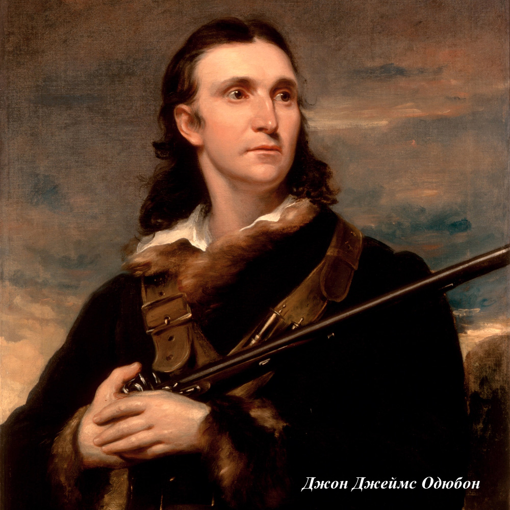 2719182 Интерьерная подушка «Американский фламинго» Object Desire  - Вид №6