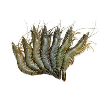 Тигровые креветки 6/8 свежемороженые ~1 кг Santreyd 24361 - Вид №1